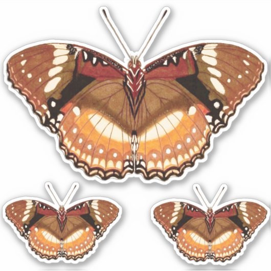Monarch Butterfly in Brown, Rost und Creme Aufkleber (Vorderseite)