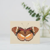 Monarch Butterfly in Brown, Rost und Creme Postkarte (Stehend Vorderseite)