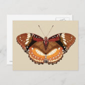 Monarch Butterfly in Brown, Rost und Creme Postkarte (Vorne/Hinten)
