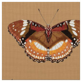 Monarch Butterfly in Brown, Rost und Creme Stoff (Nahaufnahme)