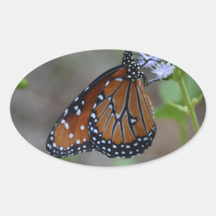 Monarch Butterfly in der Schmetterlingserie von Le Ovaler Aufkleber