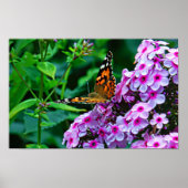 Monarch Butterfly in Flowers Poster (Vorne)