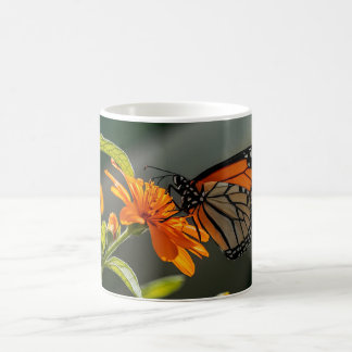 Monarch Butterfly Kaffeetasse