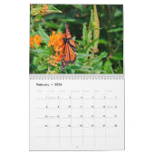 Monarch Butterfly Kalender (Feb 2026)