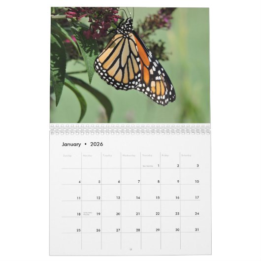 Monarch Butterfly Kalender (Jan 2026)