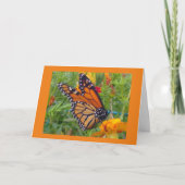 Monarch Butterfly Karte (Vorderseite)