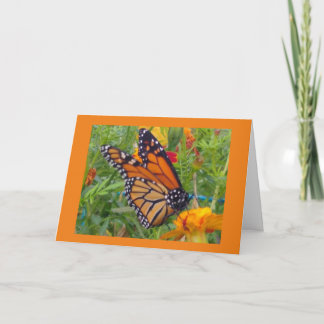 Monarch Butterfly Karte