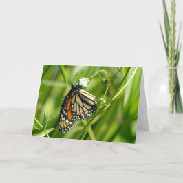 Monarch Butterfly - Karte