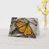 Monarch Butterfly Karte (Gelbe Blume)