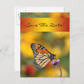 Monarch Butterfly-Karte Ankündigungspostkarte (Vorne/Hinten)
