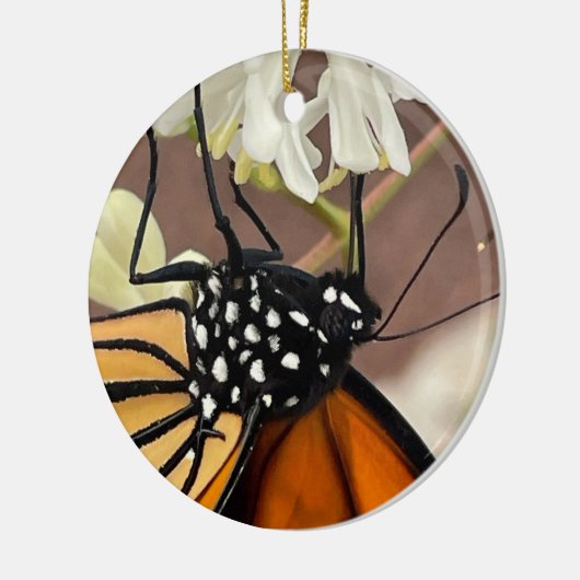 Monarch Butterfly Keramik Ornament (Links)