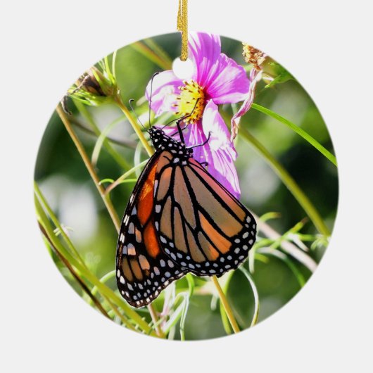 Monarch Butterfly Keramik Ornament (Hinten)