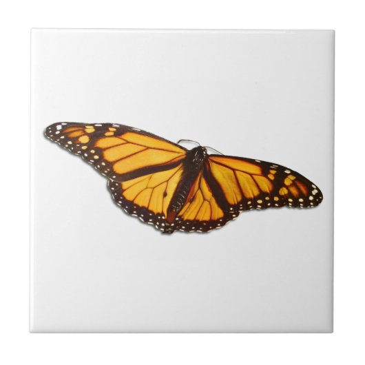 Monarch Butterfly Keramik Tile Fliese (Vorderseite)