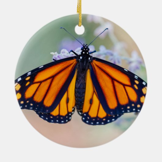 Monarch Butterfly Keramikornament (Hinten)