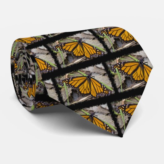Monarch Butterfly Krawatte (Gerollt)