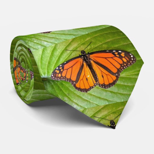 Monarch Butterfly Krawatte (Gerollt)