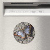 Monarch Butterfly Kühlschrank Magnet Button (In Situ (Geschirrspüler))