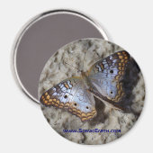 Monarch Butterfly Kühlschrank Magnet Button (Vorderseite/Rückseite)