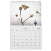 Monarch Butterfly Kunst, Dichtung und Musik Fotos Kalender (Jan 2026)