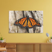 Monarch Butterfly Leinwanddruck (Insitu (Wohnzimmer))