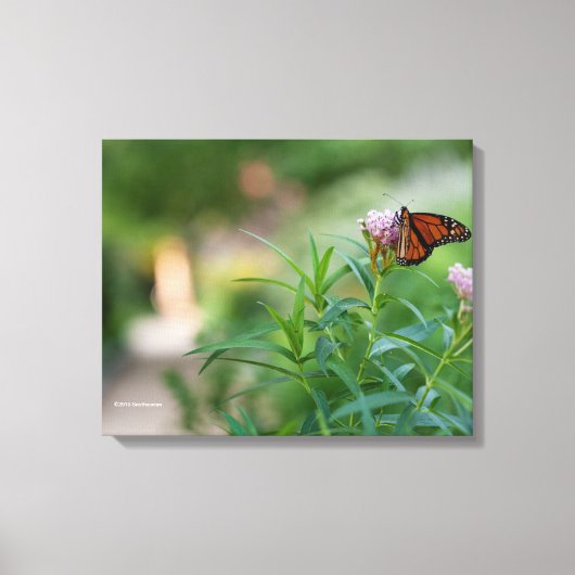 Monarch Butterfly Leinwanddruck (Vorderseite)