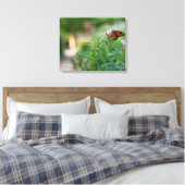 Monarch Butterfly Leinwanddruck (Insitu (Schlafzimmer))