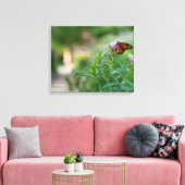Monarch Butterfly Leinwanddruck (Insitu (Wohnzimmer))