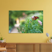 Monarch Butterfly Leinwanddruck (Insitu (Wohnzimmer))