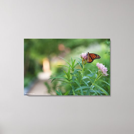 Monarch Butterfly Leinwanddruck (Vorderseite)
