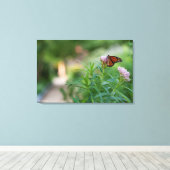Monarch Butterfly Leinwanddruck (Insitu (Holzboden))