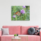 Monarch Butterfly Leinwanddruck (Insitu (Wohnzimmer))