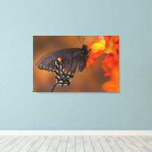 Monarch Butterfly Leinwanddruck (Insitu (Holzboden))