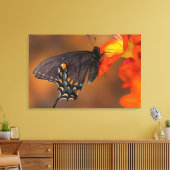 Monarch Butterfly Leinwanddruck (Insitu (Wohnzimmer))