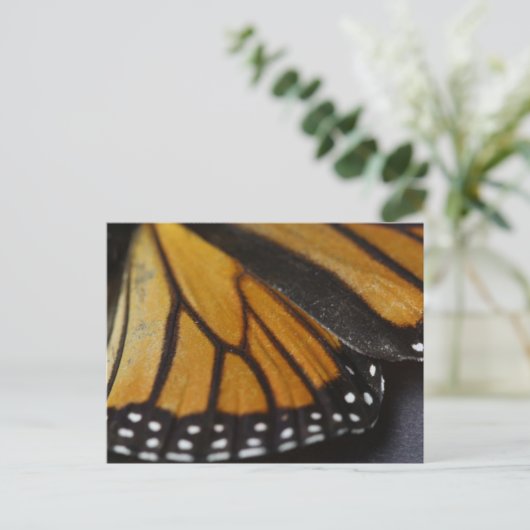 Monarch Butterfly Macro Postkarte (Stehend Vorderseite)