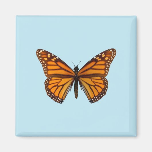 Monarch Butterfly Magnet (Vorne)