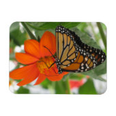 Monarch Butterfly Magnet (Horizontal)
