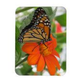 Monarch Butterfly Magnet (Vertikal)