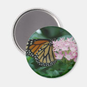 Monarch Butterfly Magnet (Vorderseite/Rückseite)