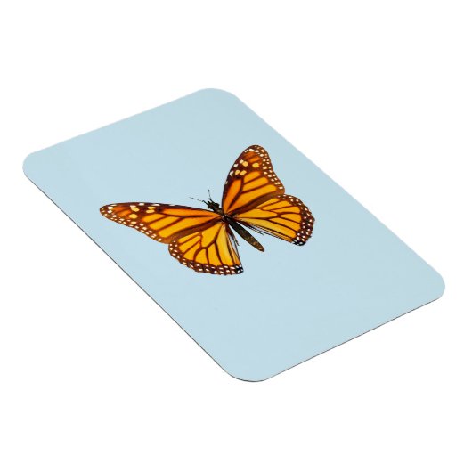 Monarch Butterfly Magnet (Rechte Seite)