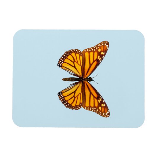 Monarch Butterfly Magnet (Horizontal)