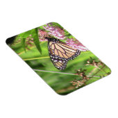 Monarch Butterfly Magnet (Rechte Seite)