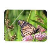 Monarch Butterfly Magnet (Horizontal)