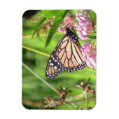 Monarch Butterfly Magnet (Vertikal)