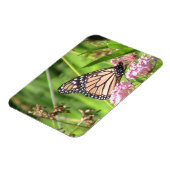 Monarch Butterfly Magnet (Linke Seite)