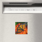 Monarch Butterfly Magnet (In Situ (Geschirrspüler))