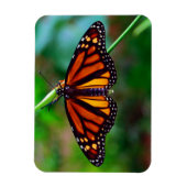 Monarch Butterfly Magnet (Vertikal)