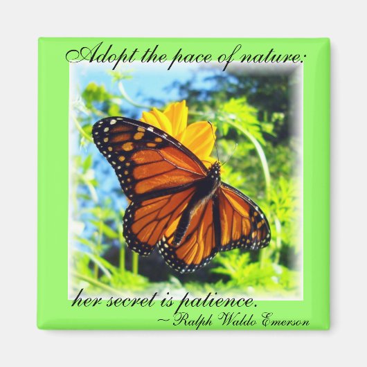 Monarch Butterfly Magnet (Vorne)