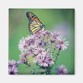 Monarch Butterfly Magnet (Vorne)