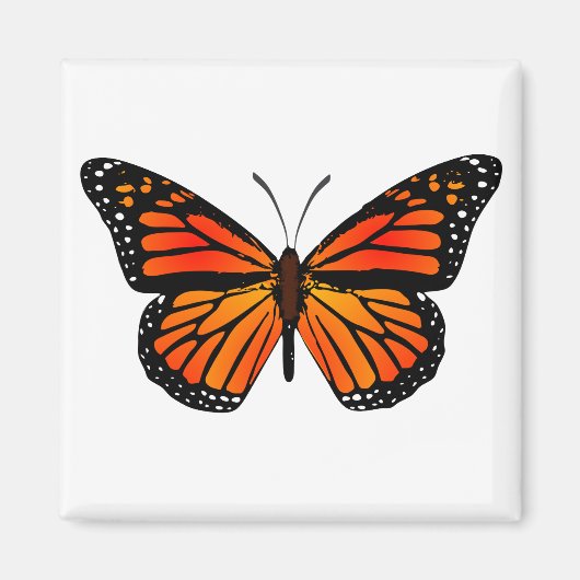 Monarch Butterfly Magnet (Vorne)