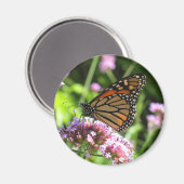 Monarch Butterfly Magnet (Vorderseite/Rückseite)